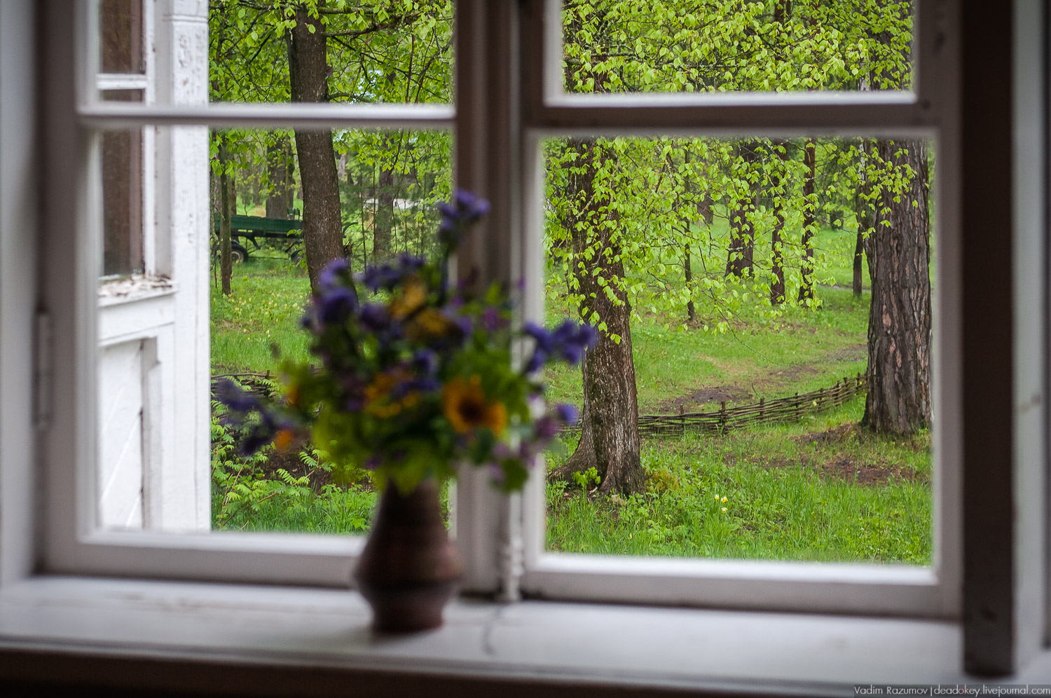 Цветы в усадьбах, поздравление с 8 марта