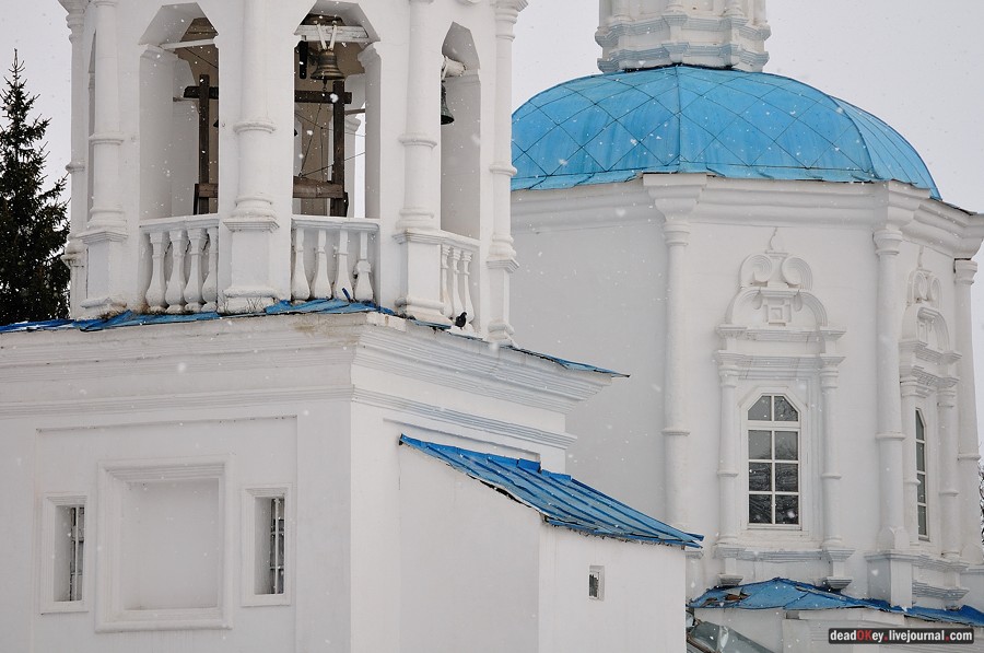 усадьба Кривцы