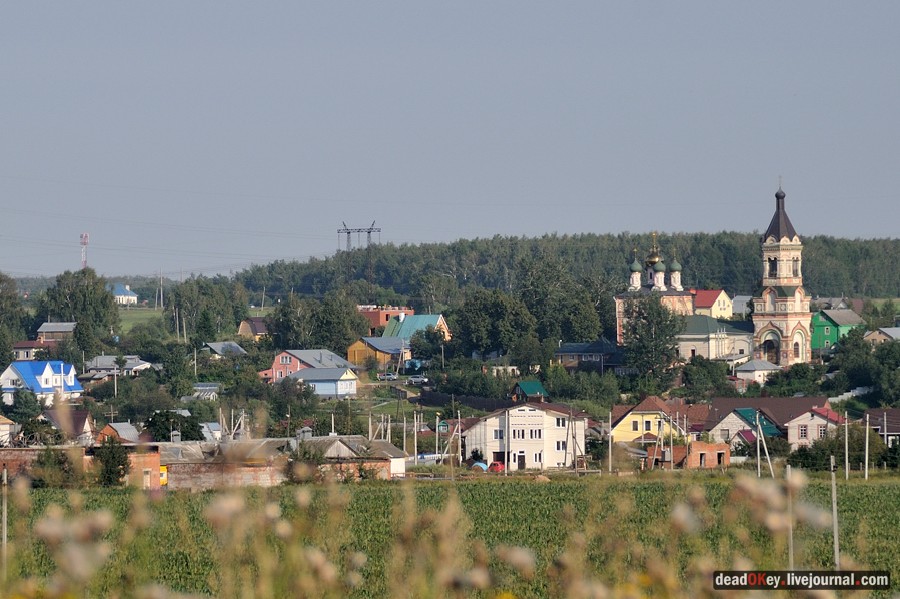 усадьба Шишкино