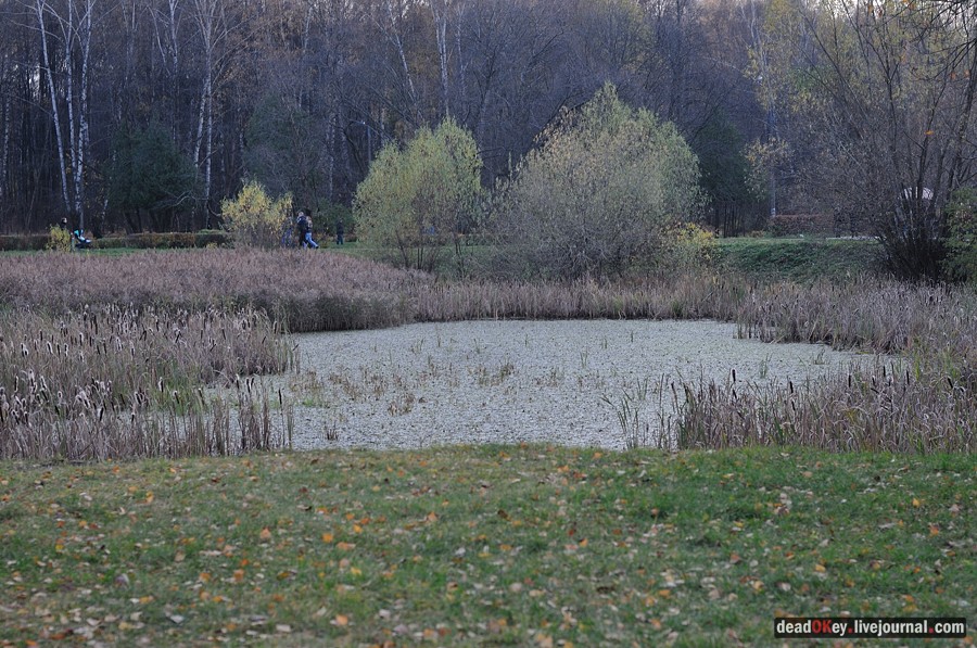 усадьба Кусково