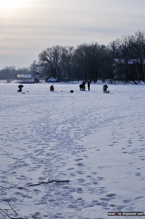 Косино