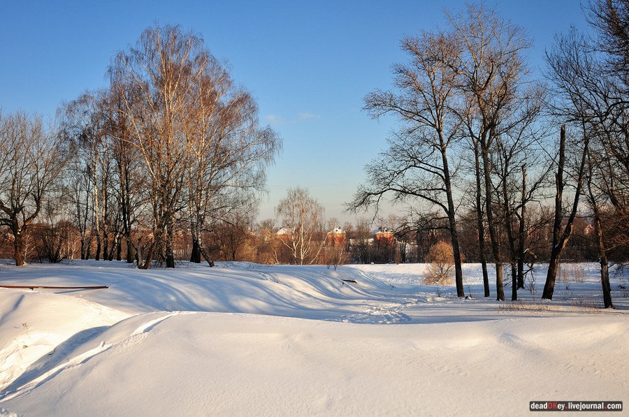 усадьба Старбеево