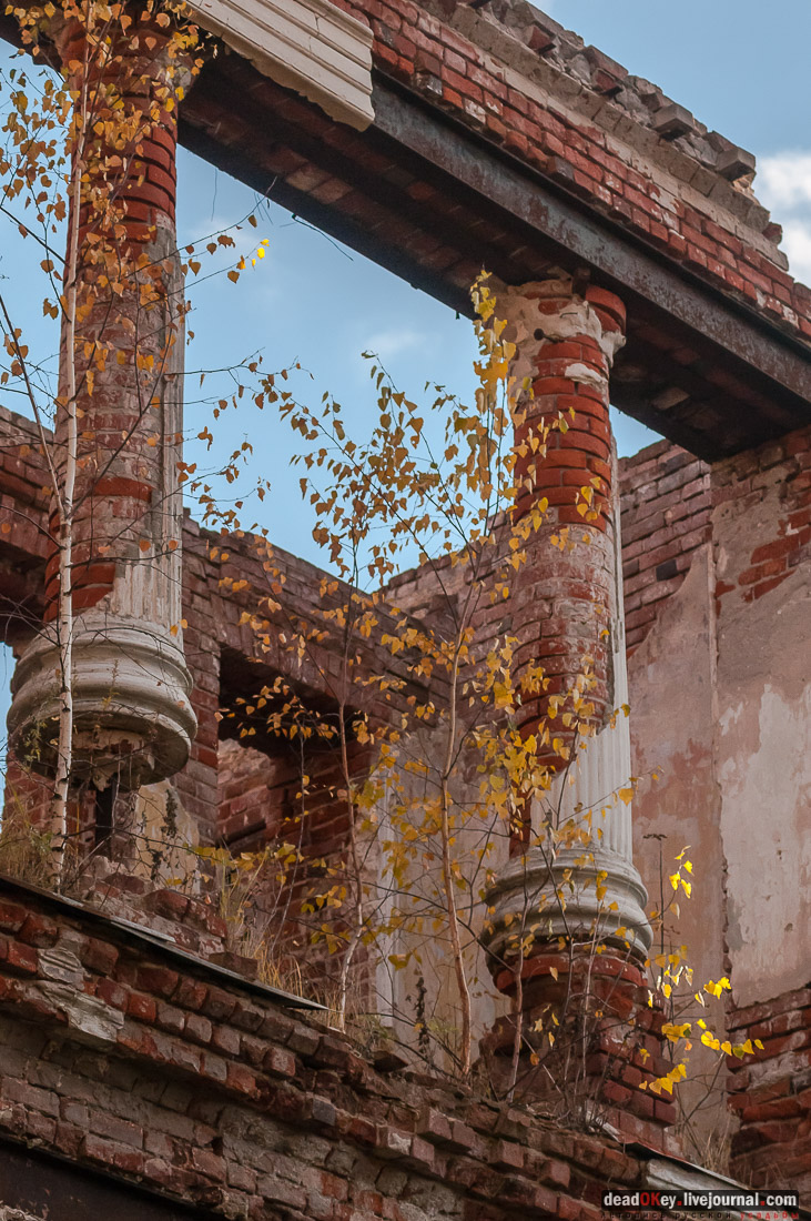 Костино
