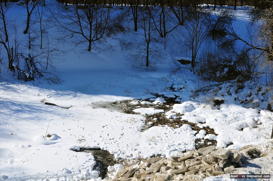 усадьба Козьмодемьяновское