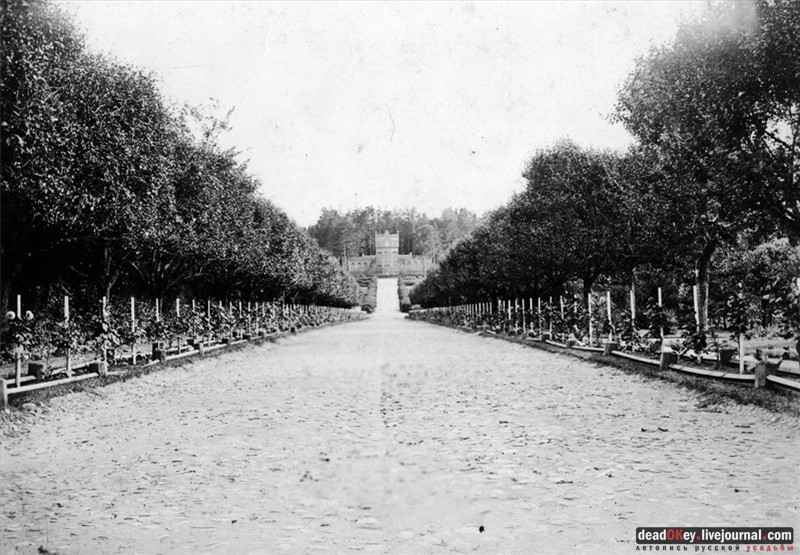 усадьба Лучки