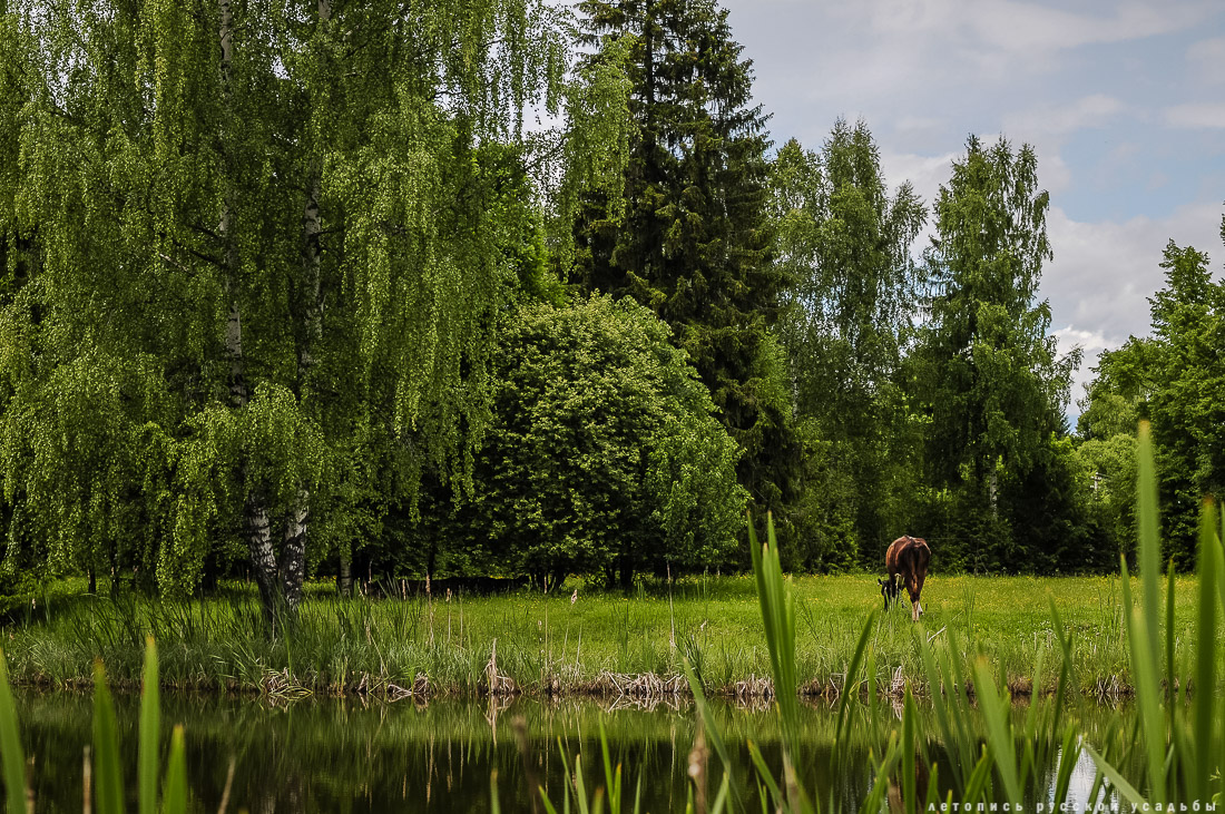 усадьба Артемьево, Ярославская область, Мышкинский район