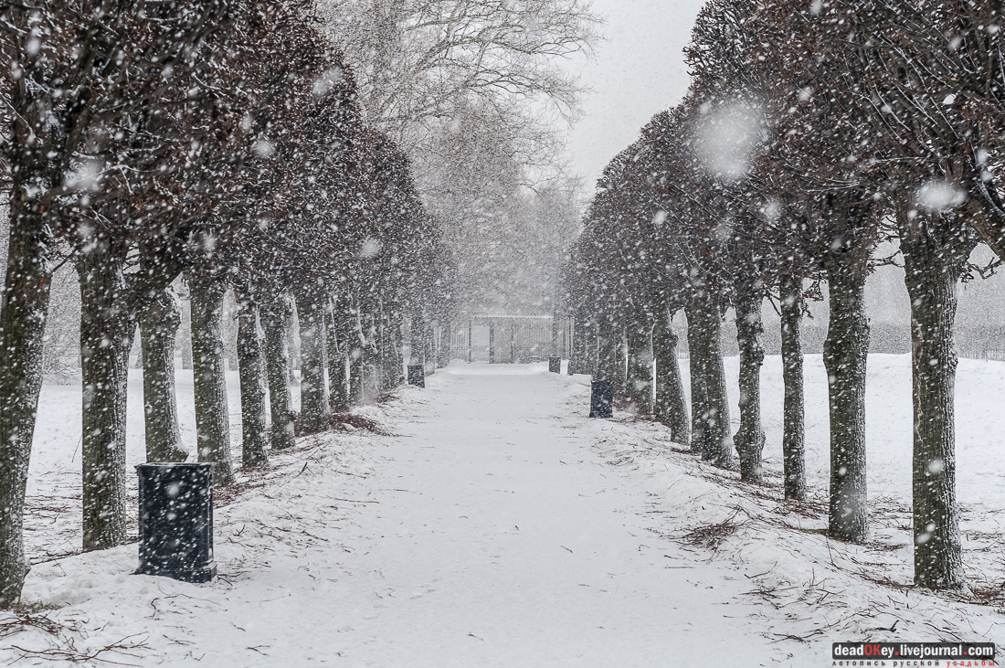 Усадьба Кусково