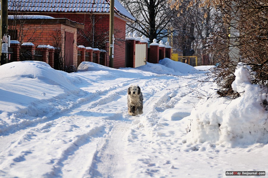 усадьба Синьково