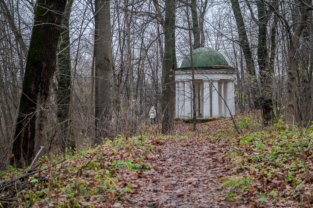 Усадебный экспресс. Горки Ленинские.