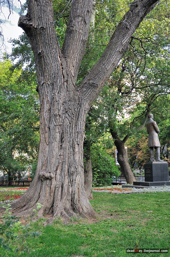 ул. Поварская д.17-19 усадьба капитана Федора Ржевского