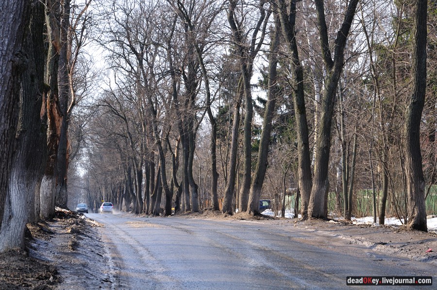 усадьба образцово