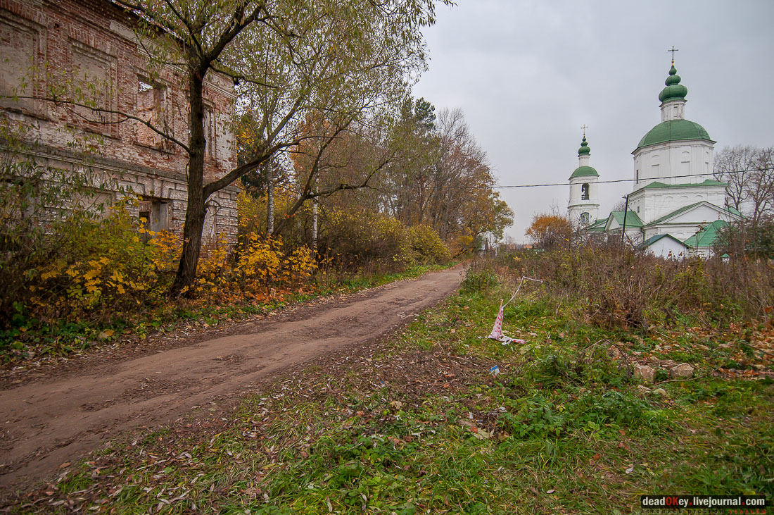 Усадьба Молоди