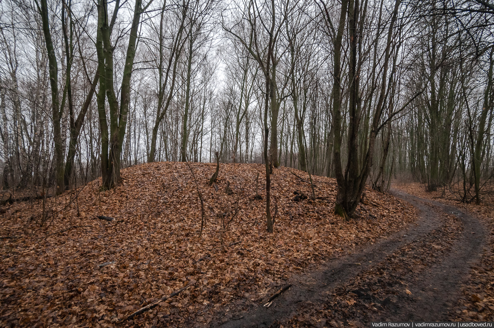 Липецкие усадьбы, усадьбы Липецкой области, аудиогид