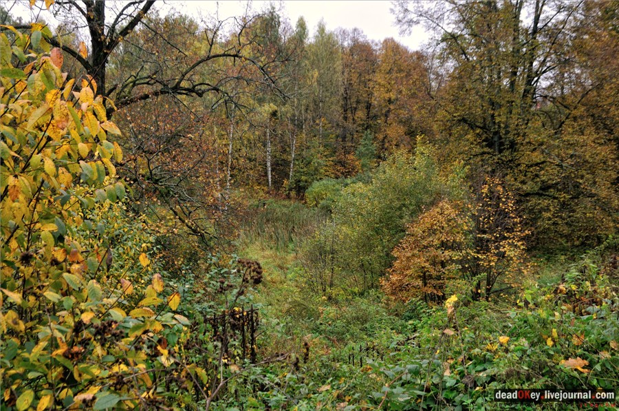 усадьба Марфино