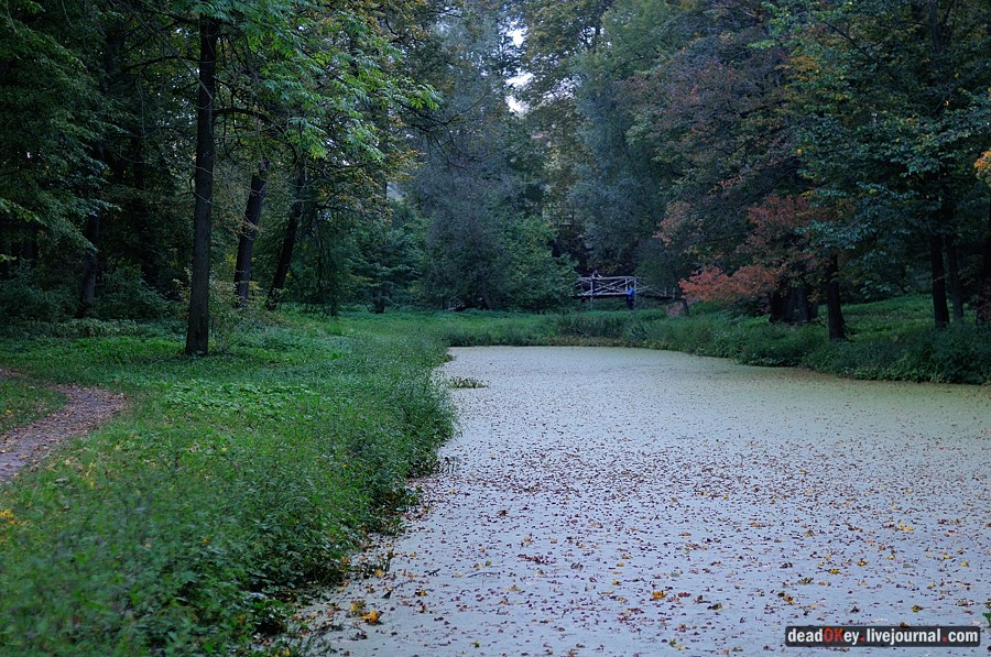 усадьба Ясная Поляна