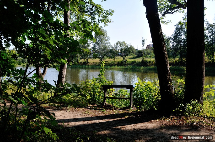 усадьба Шишкино