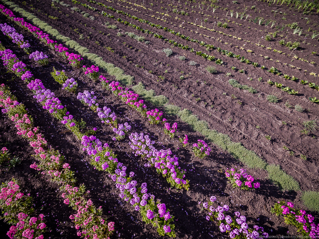 усадьба Барсуково