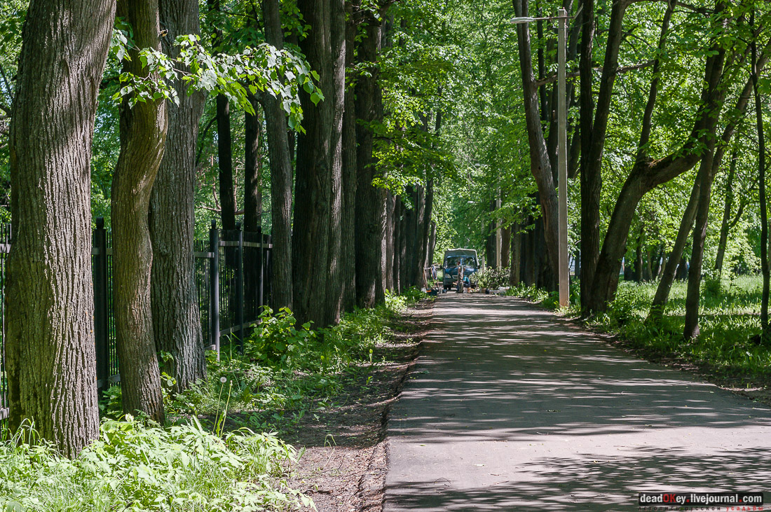 Гаврилов-Ям