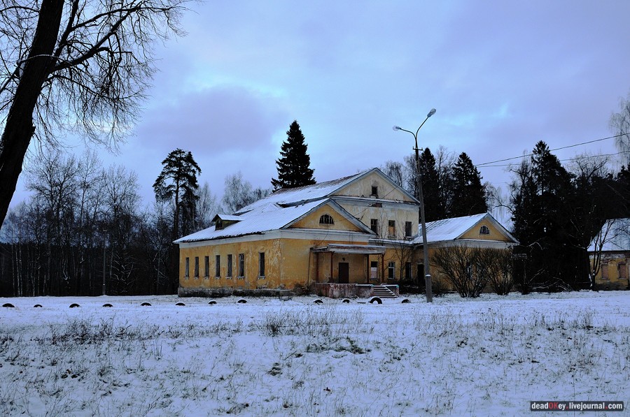 усадьба Медное-Власово