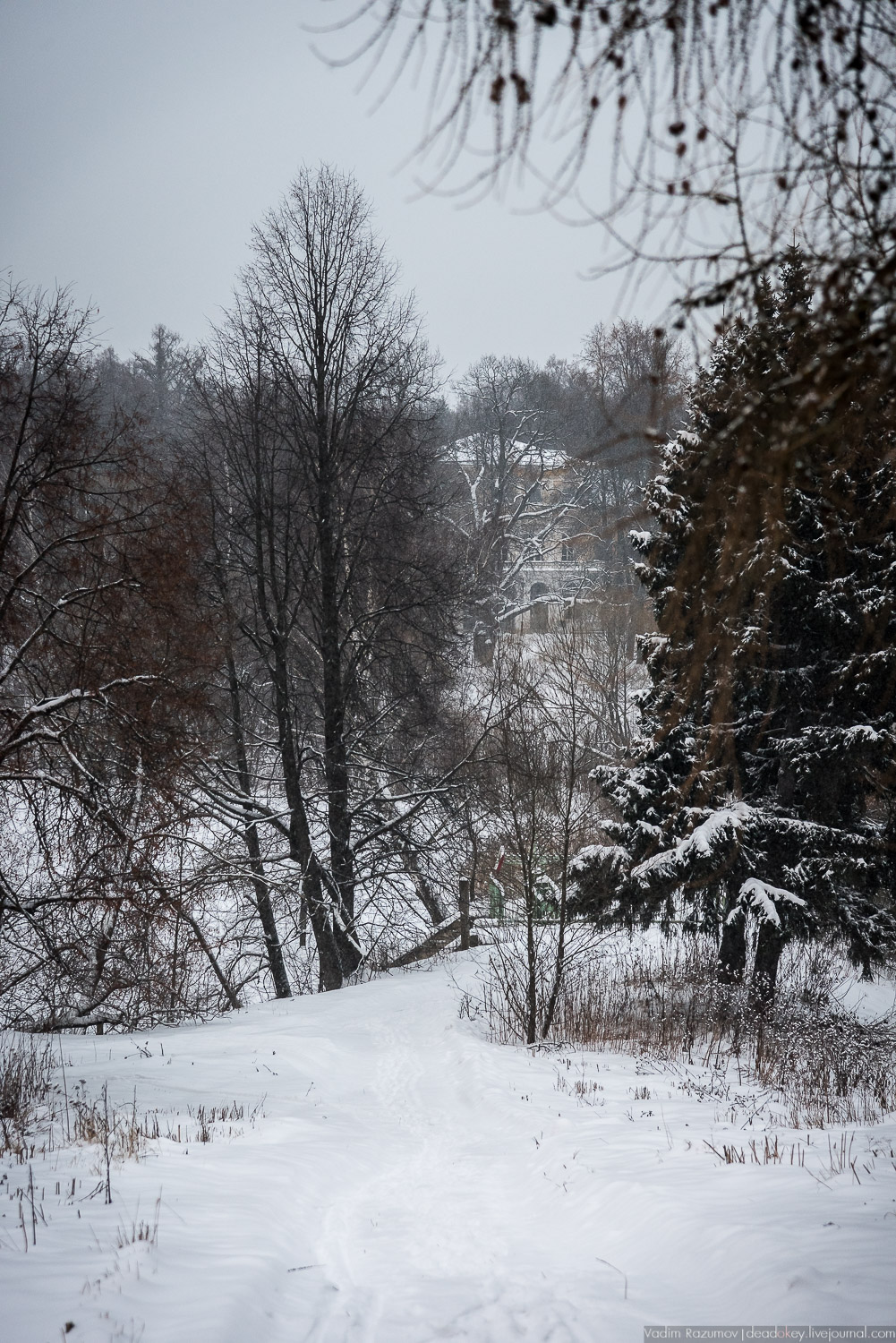 усадьба Знаменское-Садки
