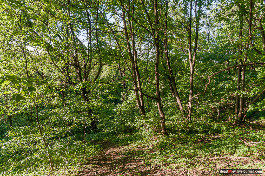 усадьба Кунцево