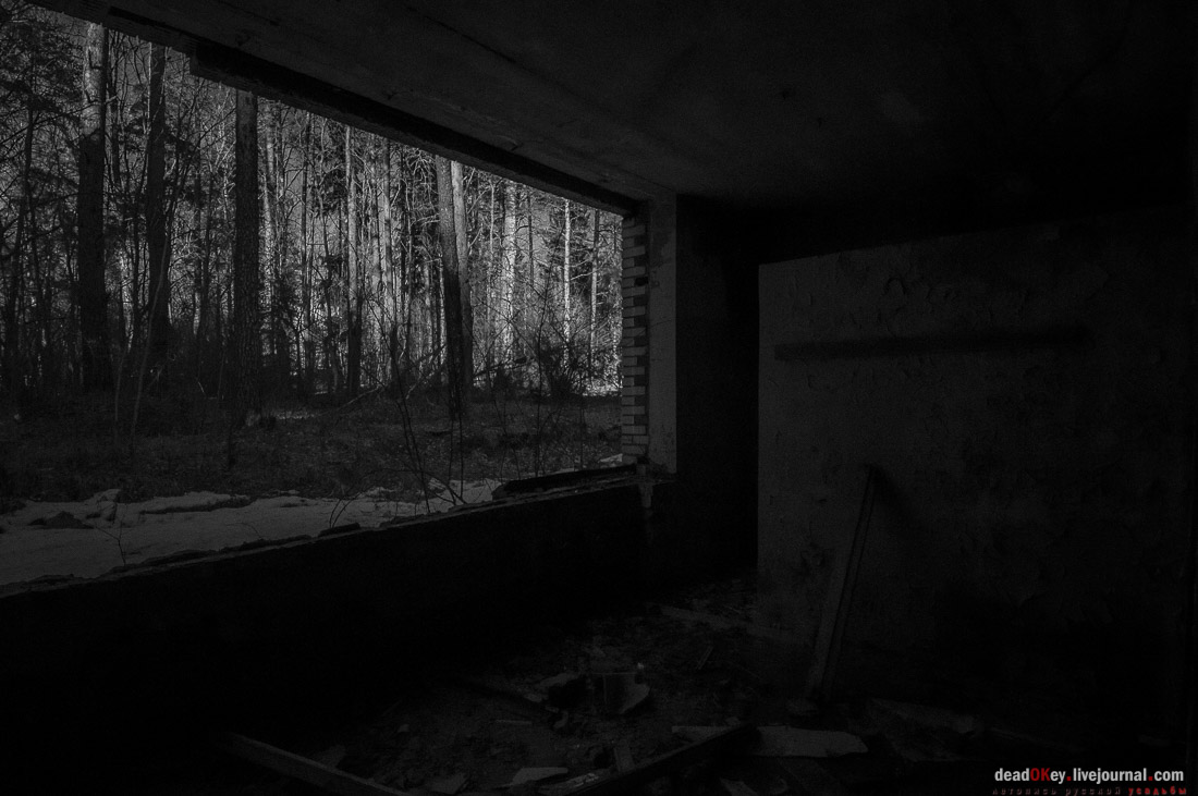 ПИОНЕРСКИЙ ЛАГЕРЬ ДРУЖБА ИМ. А.П. ГАЙДАРА