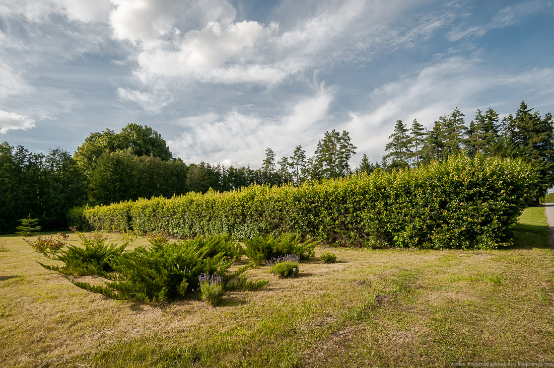усадьба Барсуково