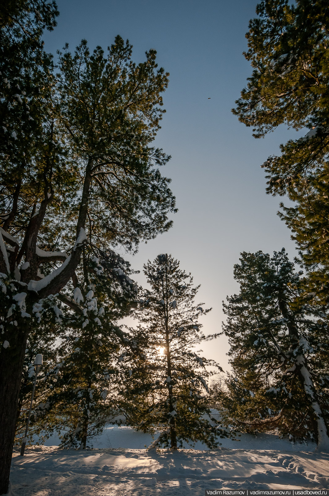 Толгский монастырь, Ярославль