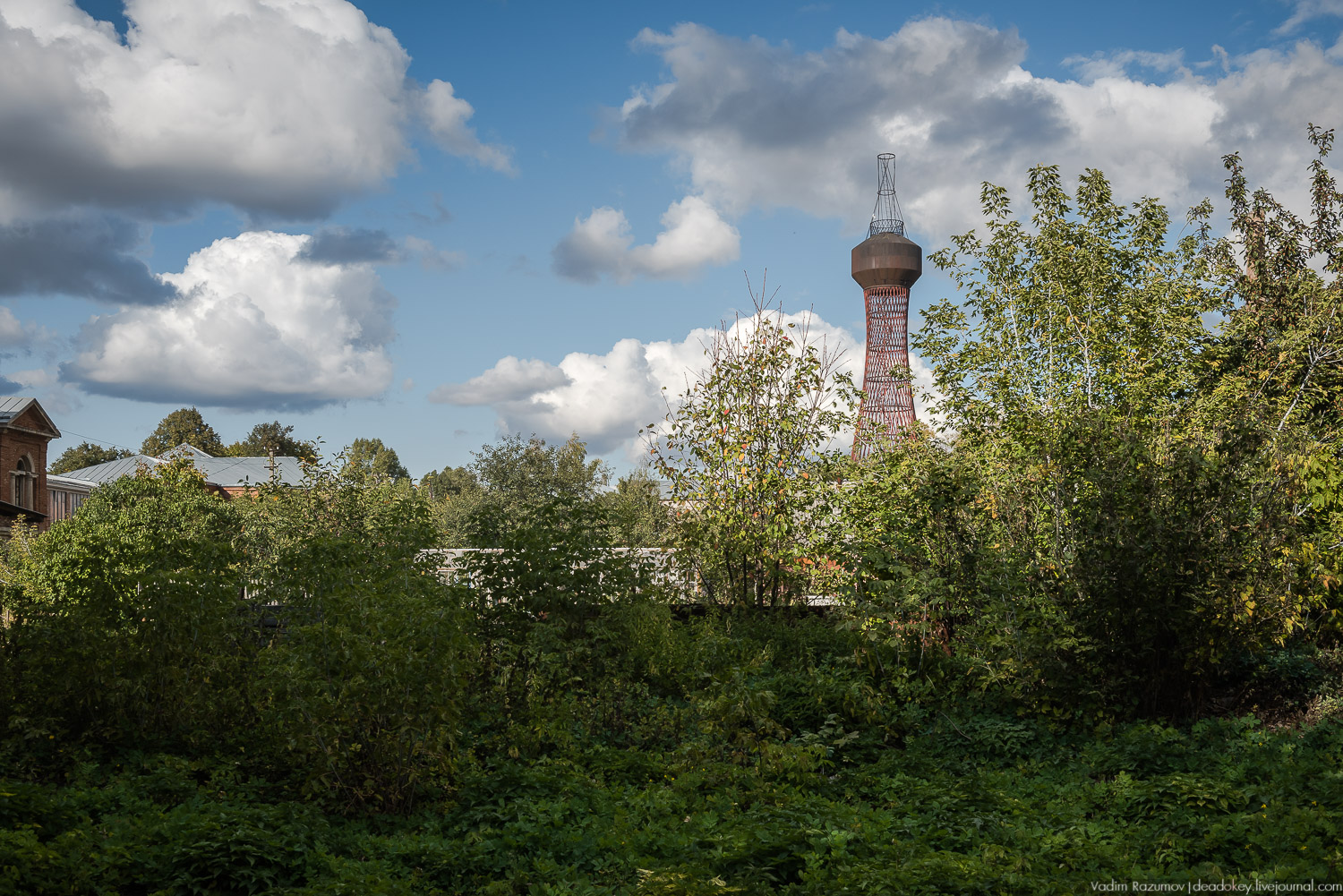 усадьба Полибино, Липецкая область, Усадебные волонтеры 21 сентября 2019 года