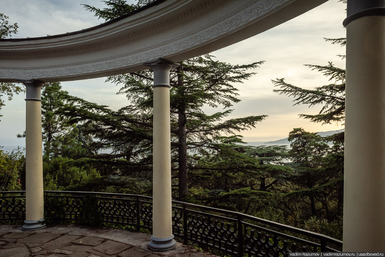 Никитский ботанический сад