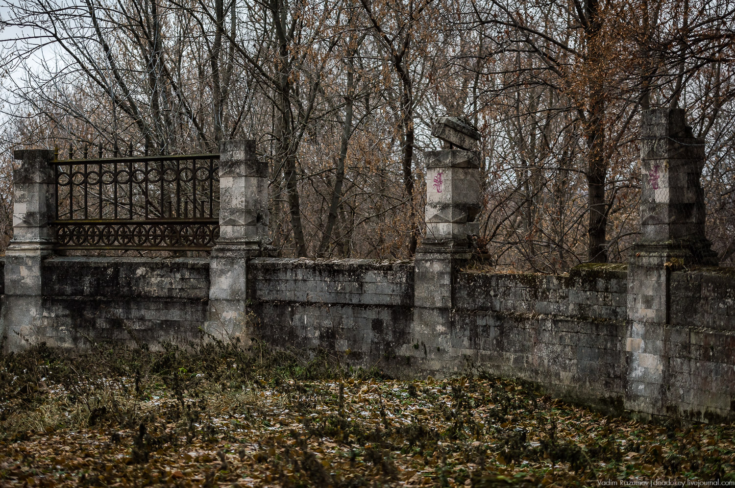 усадьба Бобрики Бобринских, Донской, Тульская область, музей