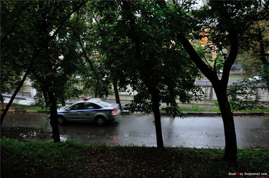 усадьба Строганова Дача