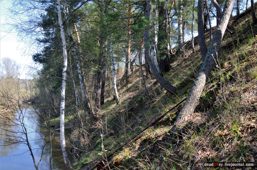 усадьба Андреевское-Туркино (Перематкино)