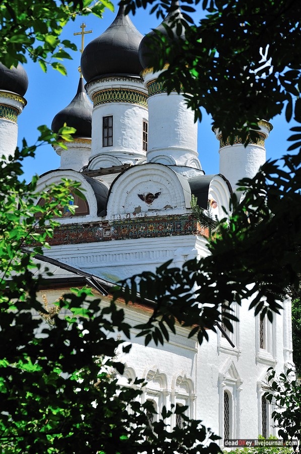 усадьба Братцево