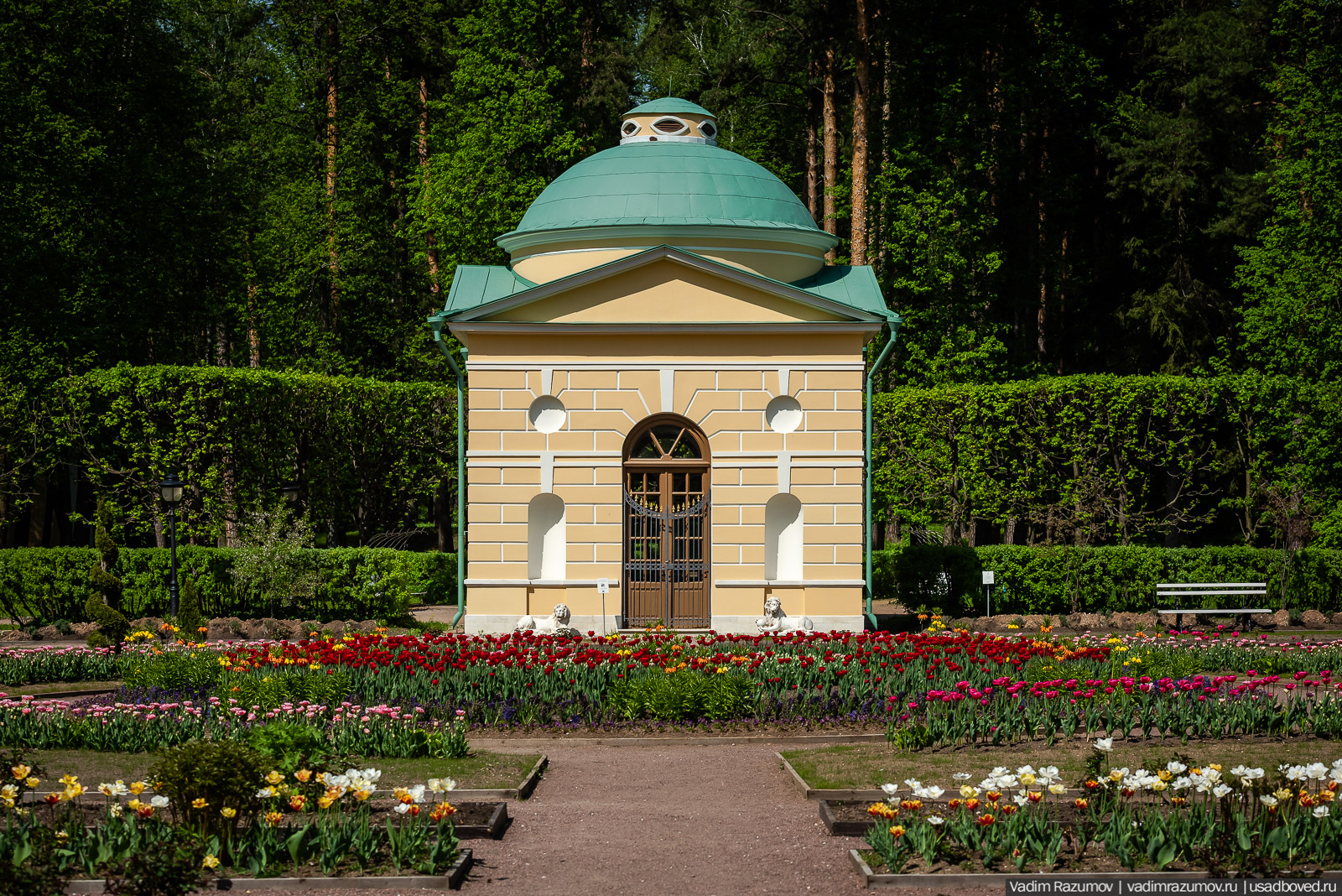 усадьба Архангельское, весна, май 2021