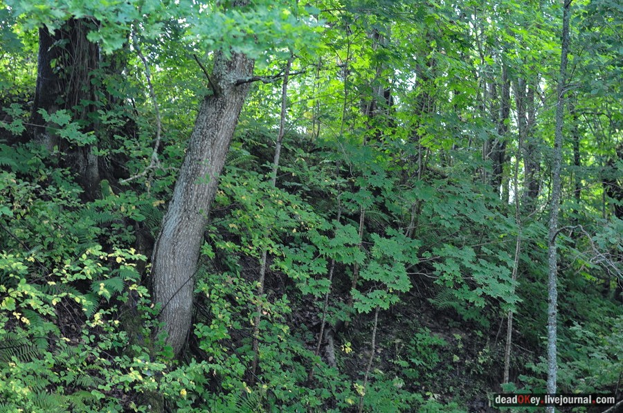 усадьба Верхоляне