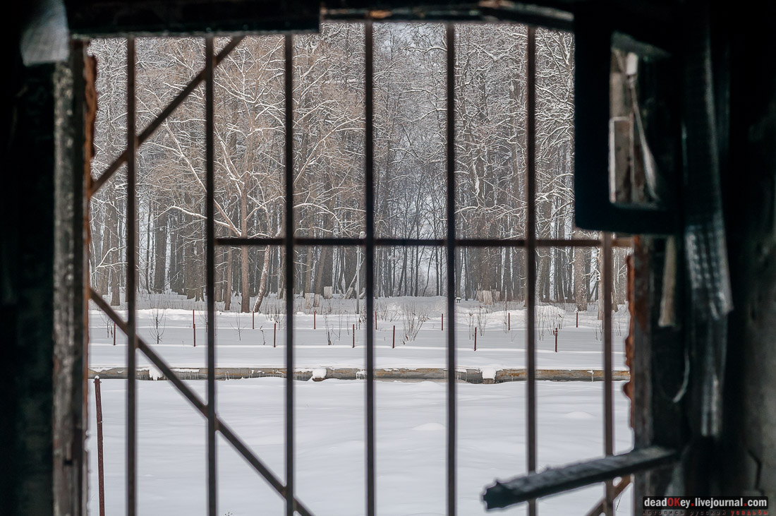 усадьба Шарапово