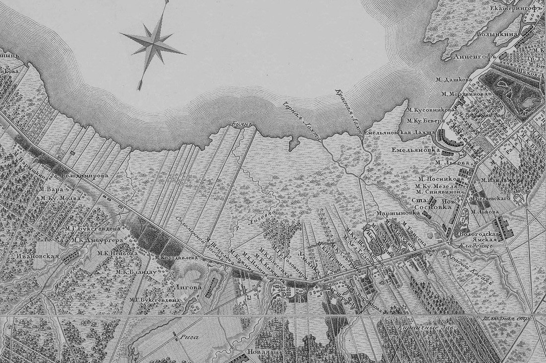 Петергофская дорога