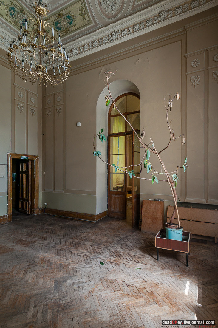 усадьба Быково, интерьеры