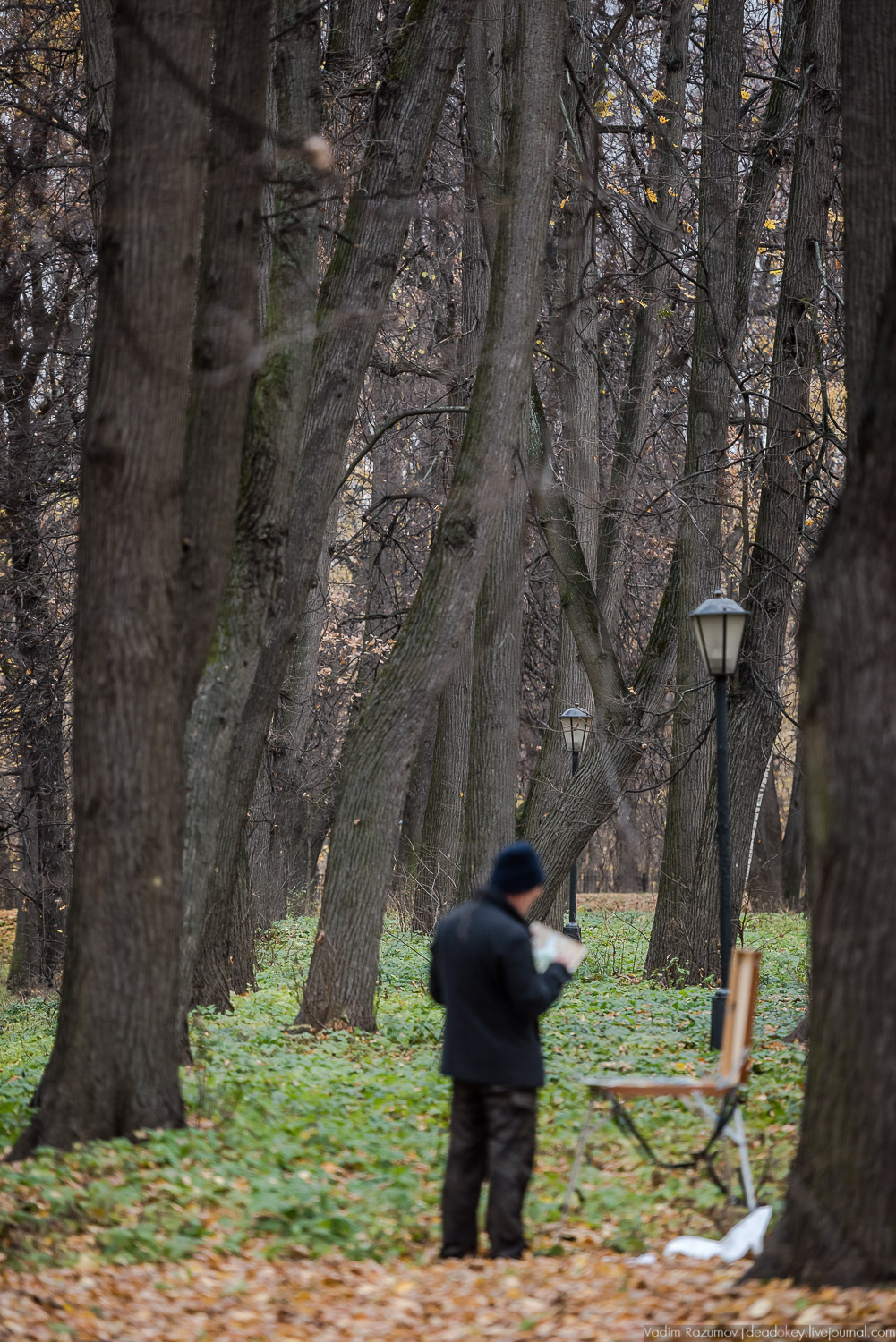 усадьба Кусково, осень 2018 года