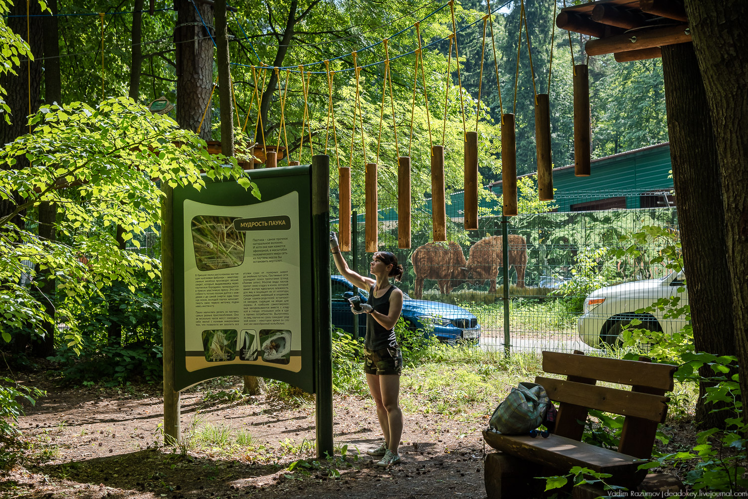 Экоэлектричка. Волонтерский поезд к зубрам в Приокский террасный заповедник