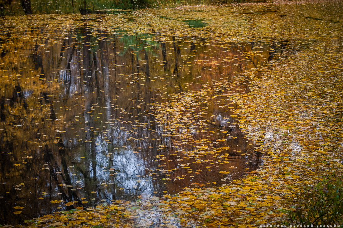 усадьба Ясная Поляна Льва Николаевича Толстого, Тульская область, осенью
