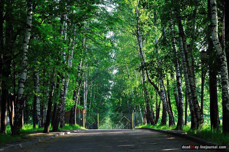 усадьба Богословское-Могильцы