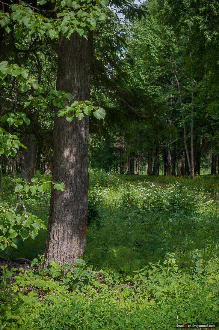 усадьба Знаменское-Раек, Тверская область, Новоторжский район