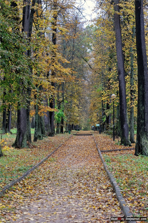 усадьба Марфино