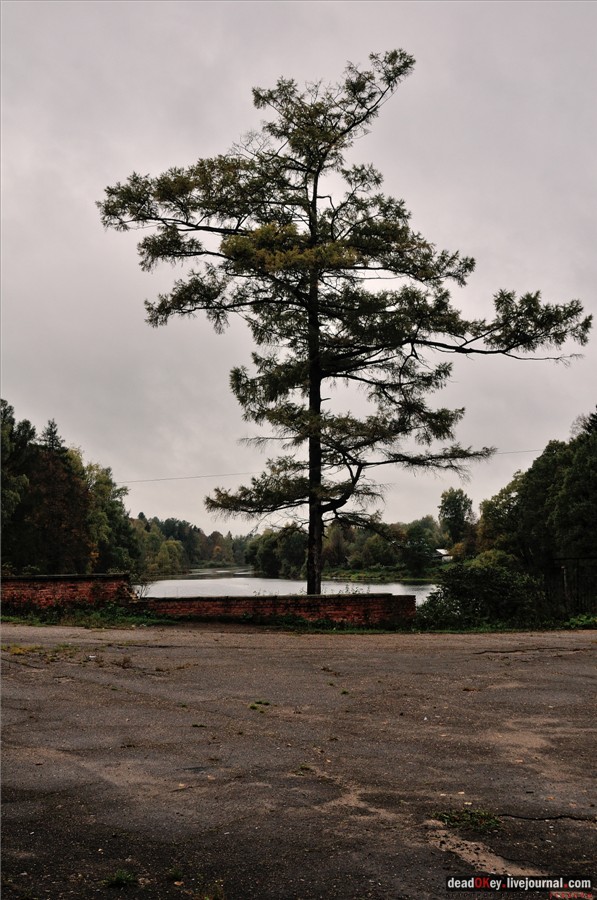 усадьба Марфино