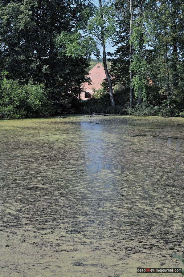 усадьба Хомяково