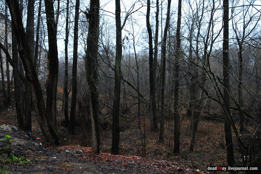 усадьба Колонтаево