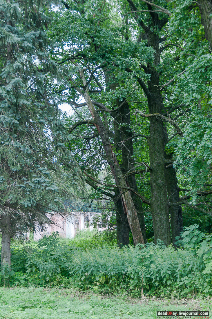 усадьба Дивово