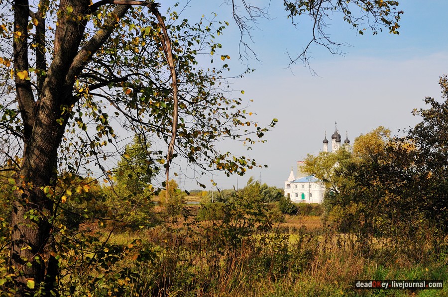 усадьба Тайнинское
